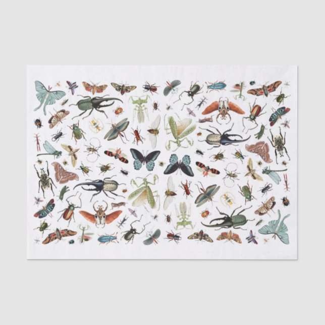 Insects and Butterflies Vintage Book Illustration Tissue Paper (Front)