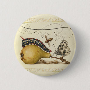 Insects Bee Butterfly Caterpillar Art Illustration 2 Inch Round Button