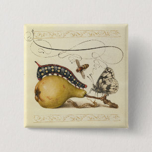 Insects Bee Butterfly Caterpillar Art Illustration 2 Inch Square Button