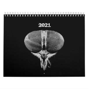 Insects - Bugs -  Pet Insects Calendar