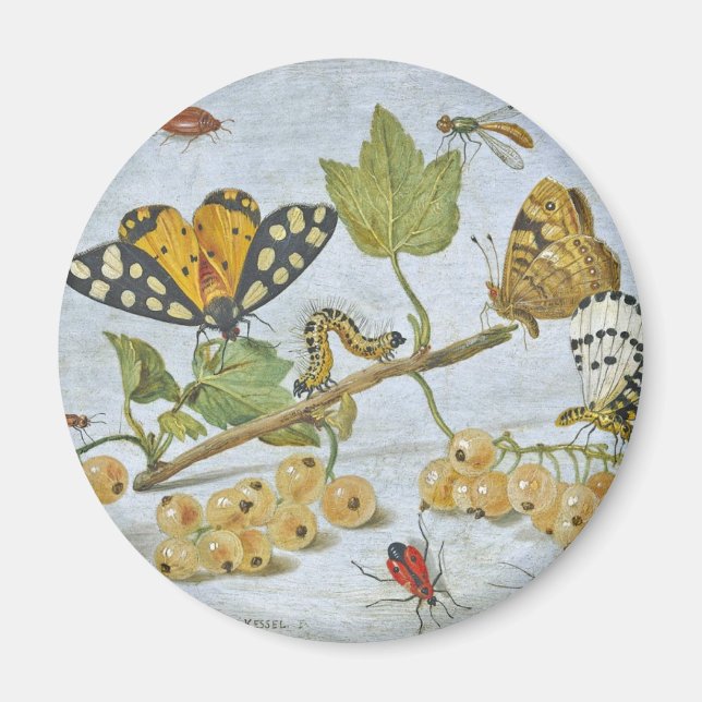 Insects Crawling Magnet (Front)