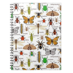 Insects Notebook