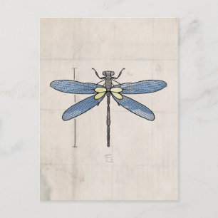 Insects Series- Dragonfly by VOL25 Postcard