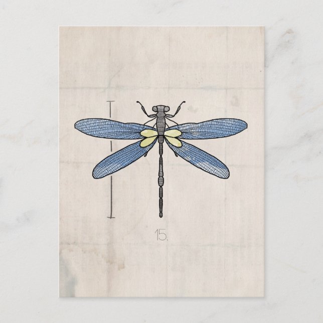 Insects Series- Dragonfly by VOL25 Postcard (Front)