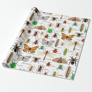 Insects Wrapping Paper