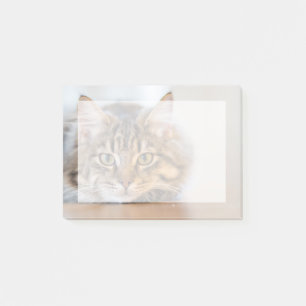 Insert your own pet photo post-it notes