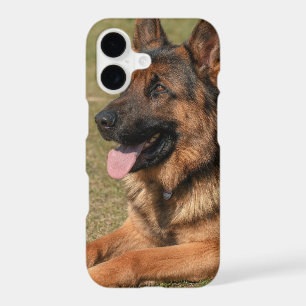 Insert Your Own Photo of Your German Shepherd Dog