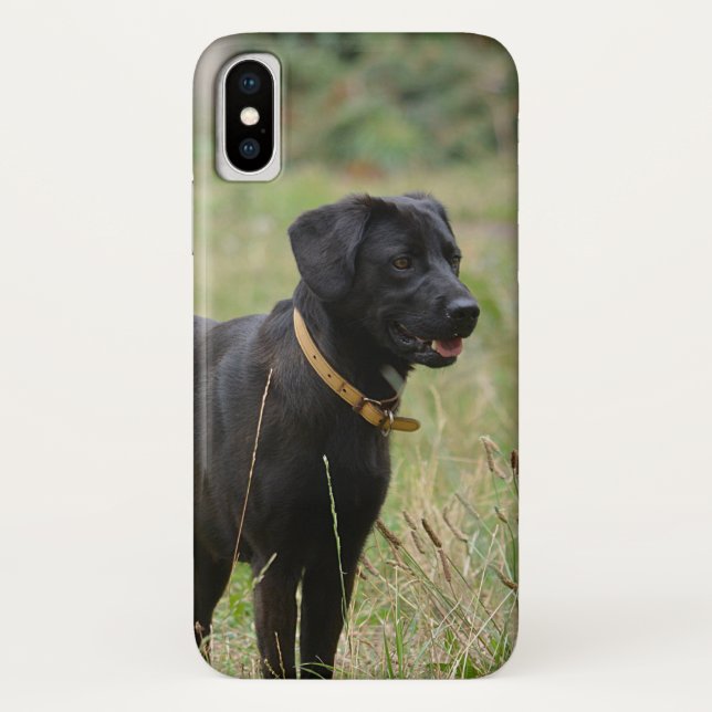 Insert Your Own Photo of Your Labrador Retriever Case-Mate iPhone Case (Back)