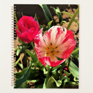 Inside a Pink & White Tulip Planner