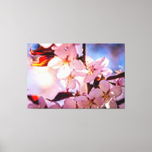 Inside A Sakura Tree Canvas Print