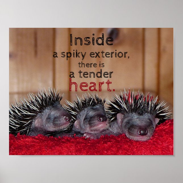 Inside a spiky exterior there is a tender heart poster (Front)