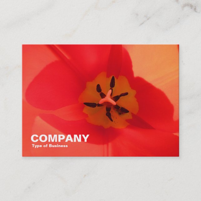 Inside a Tulip Business Card (Front)