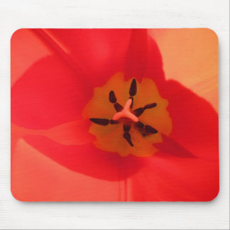Inside a Tulip Mouse Pad