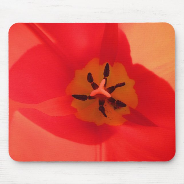 Inside a Tulip Mouse Pad (Front)