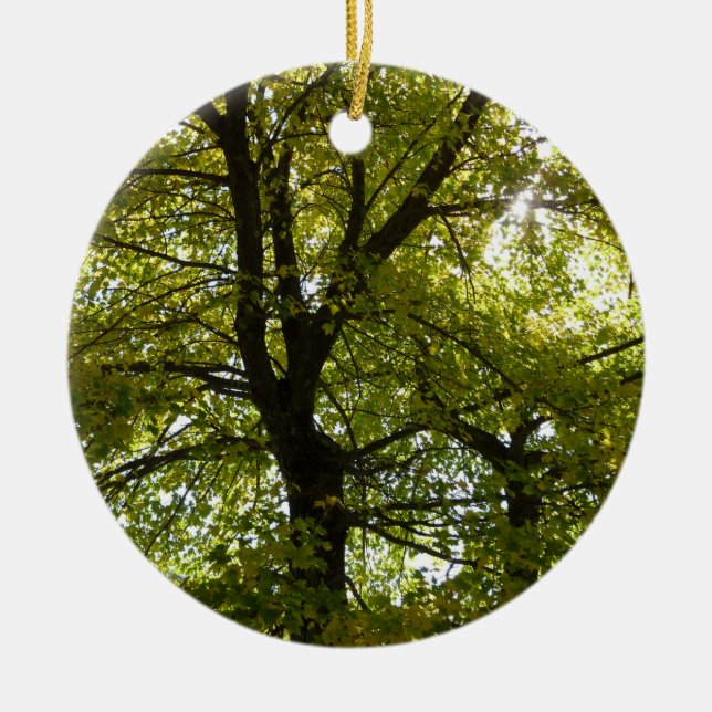 Inside a Yellow Maple Tree Autumn Ceramic Ornament (Front)