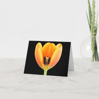 Inside an orange colored tulip thank you card