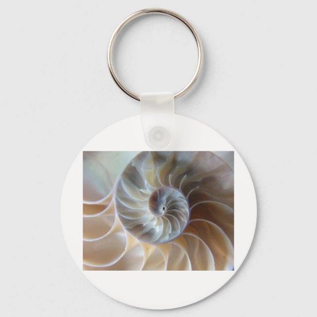 Inside Nautilus Keychain (Front)