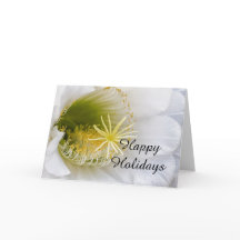 Inside of a white cactus in bloom