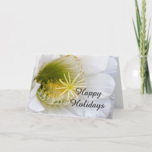 Inside of a white cactus in bloom holiday card
