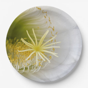 Inside of a White cactus in bloom Paper Plate