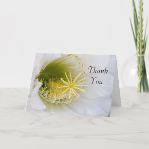 Inside of an Echinopsis in bloom Thank You Card