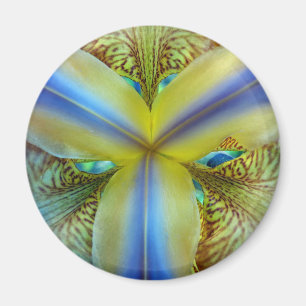 Inside of Iris Magnet