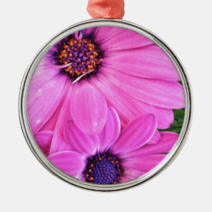 Inside of Pink Purple Gerbera Daisy Flower Nature Metal Ornament