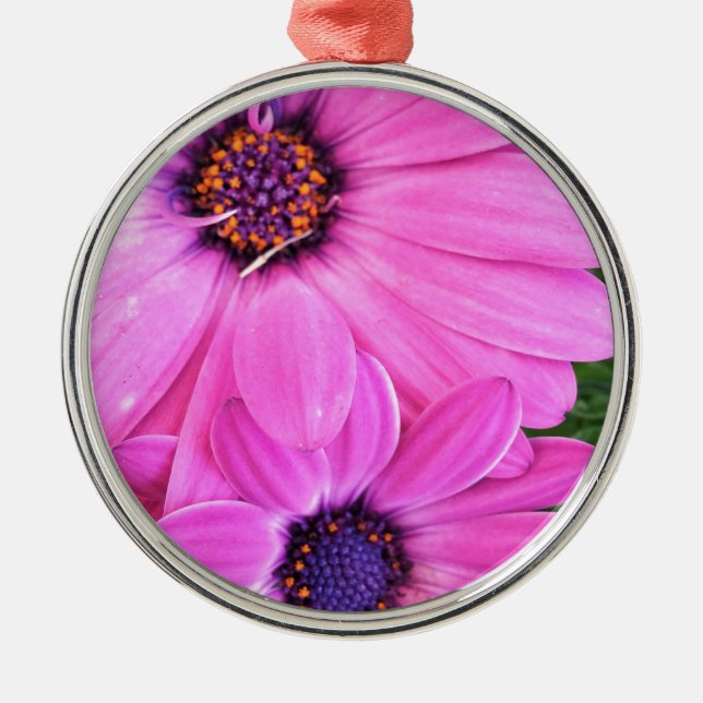 Inside of Pink Purple Gerbera Daisy Flower Nature Metal Ornament (Front)