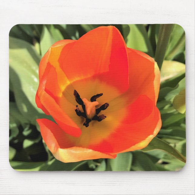 Inside Orange Tulip Mouse Pad (Front)