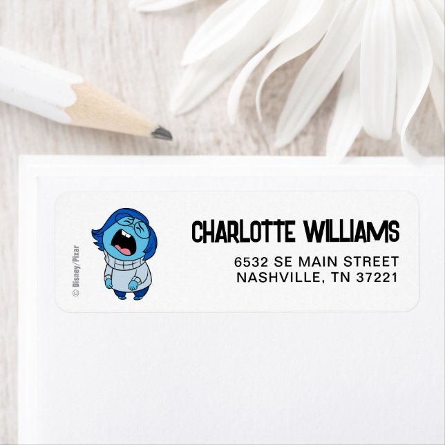 Inside Out 2 Birthday | Sadness (Insitu)