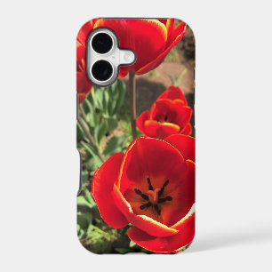 Inside Red Tulips