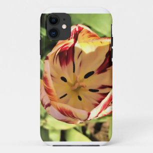 Inside Red & White Tulip iPhone 11 Case