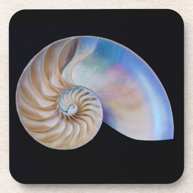 Inside The Nautilus Coaster (Front)