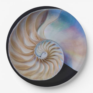 Inside The Nautilus Paper Plate