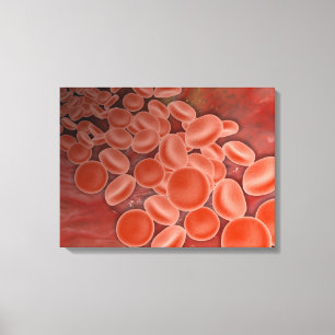 Inside View Of The Artery With Red Blood Cells Canvas Print