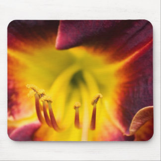 insidelily mouse pad