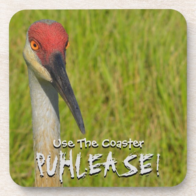 Insistent Sand Hill Crane Coaster (Front)