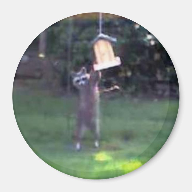 Inspector Raccoon Magnet (Front)