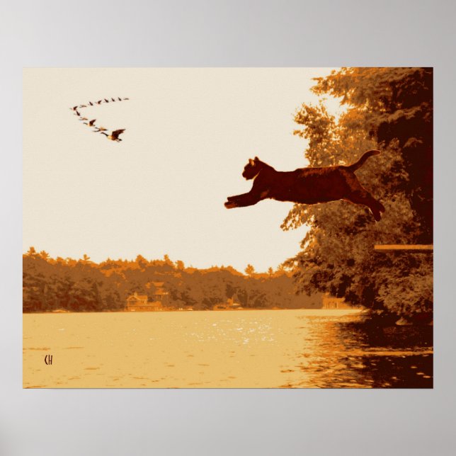 Inspiration Cat Poster (Front)