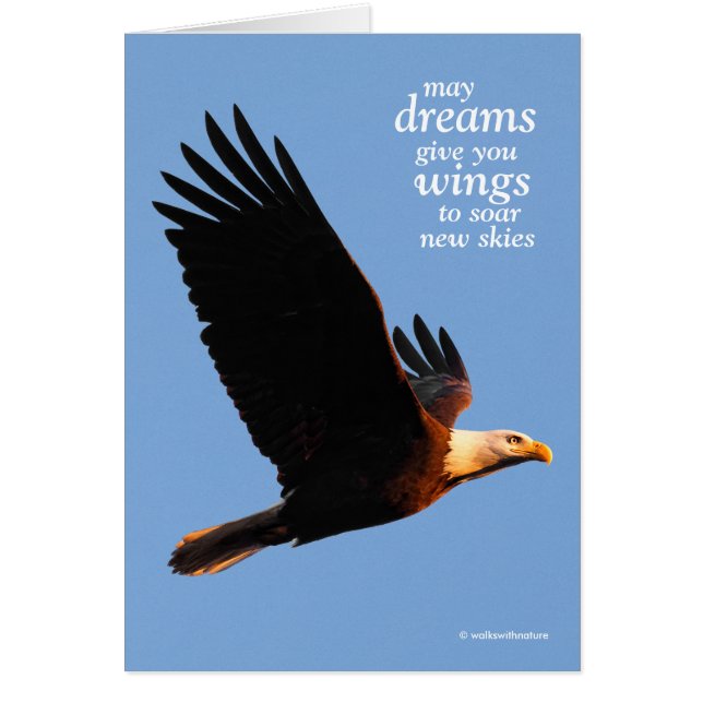 Inspiration de l'aigle à tête plate en vol du couc (Devant)