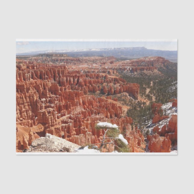 Inspiration Point at Bryce Canyon I Tissue Paper (Front)