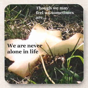 Inspiration Through Nature Coaster