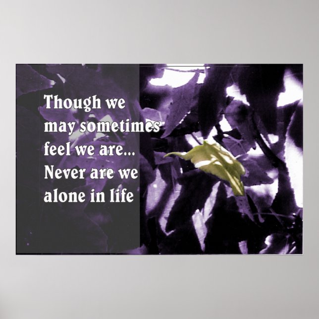 Inspiration Through Nature Poster (Front)