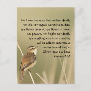 Inspirational Bible Scripture Quote Romans 8:38  Postcard