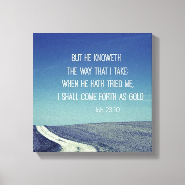 Inspirational Bible Verse Job Quote Canvas Print (Front)
