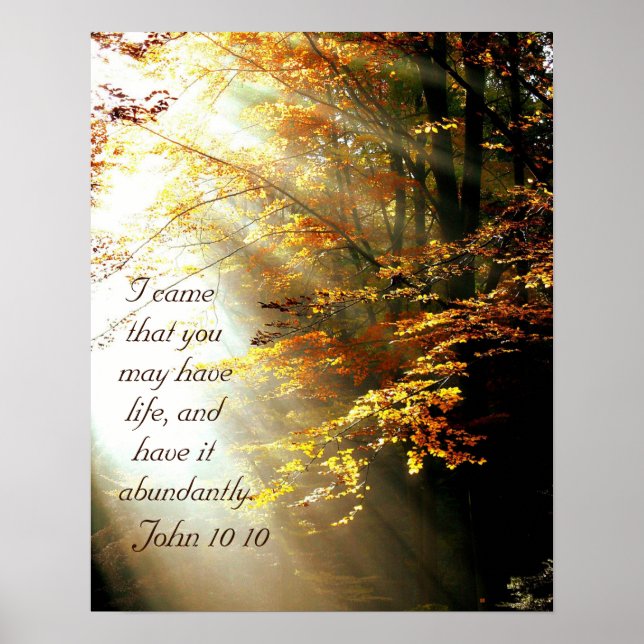 Inspirational Bible Verse John 10 10 Fall Leaves Poster (Front)