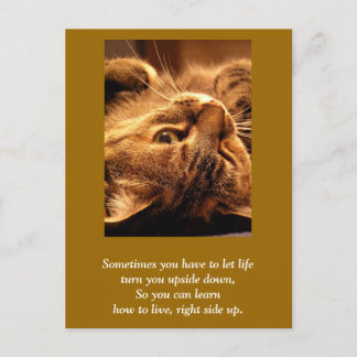 Inspirational card: Life up side down Postcard