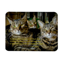 Inspirational Cat Magnet - All cats are unique