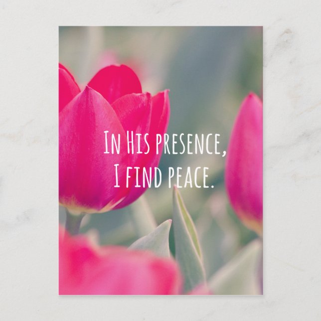 Inspirational Christian Quote God's Peace Postcard (Front)