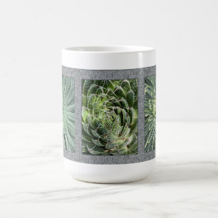 Inspirational Coffee Mug with Aloe Plants